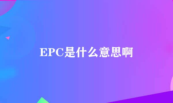 EPC是什么意思啊