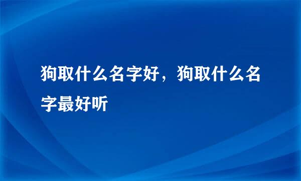 狗取什么名字好，狗取什么名字最好听