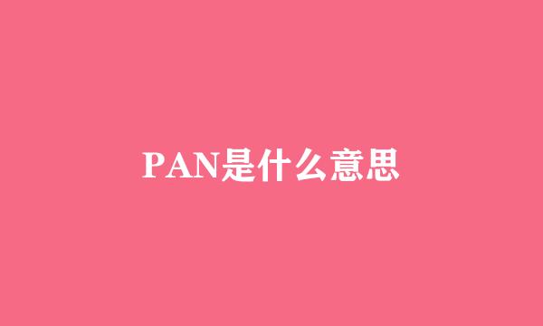 PAN是什么意思