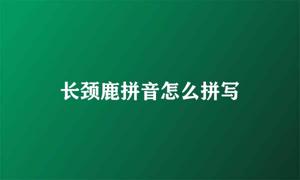 长颈鹿拼音怎么拼写