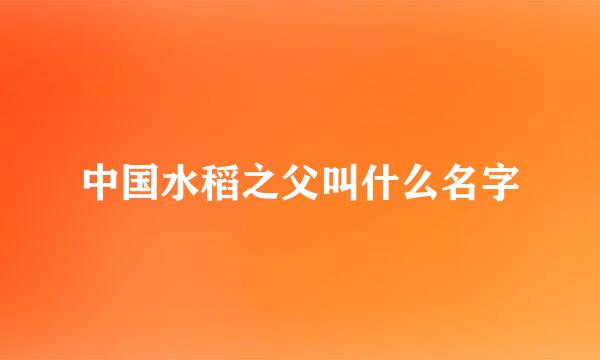 中国水稻之父叫什么名字