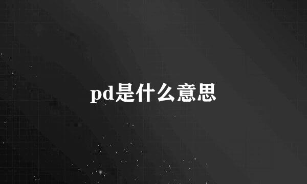 pd是什么意思