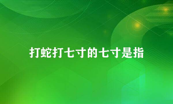 打蛇打七寸的七寸是指