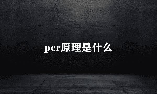 pcr原理是什么