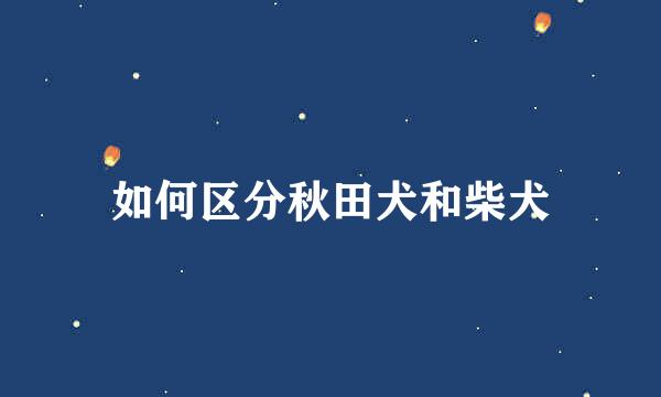 如何区分秋田犬和柴犬