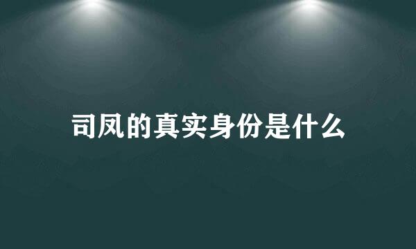 司凤的真实身份是什么