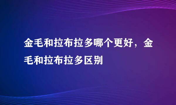 金毛和拉布拉多哪个更好，金毛和拉布拉多区别