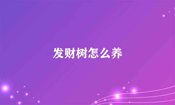 发财树怎么养