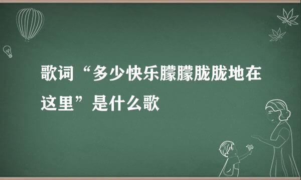 歌词“多少快乐朦朦胧胧地在这里”是什么歌