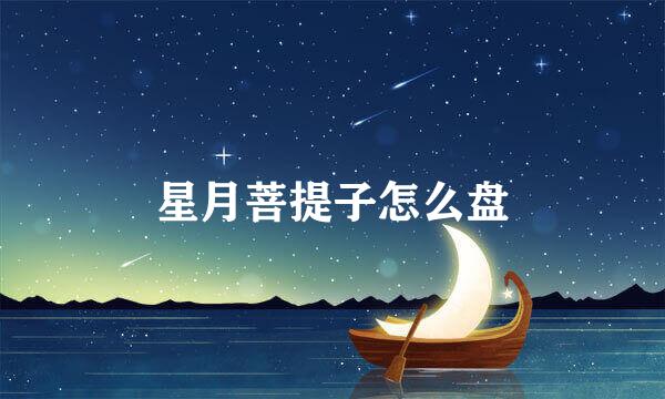 星月菩提子怎么盘