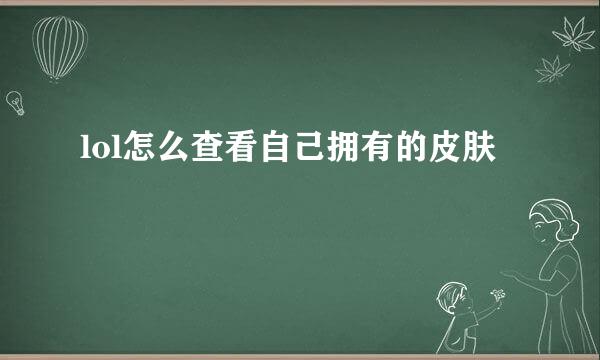 lol怎么查看自己拥有的皮肤