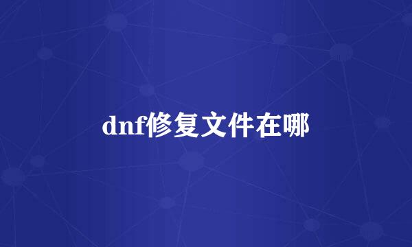 dnf修复文件在哪