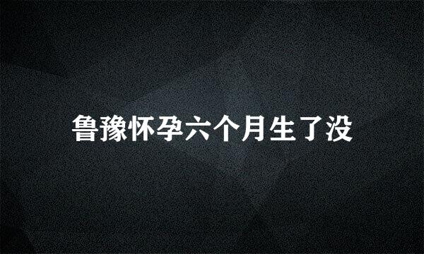 鲁豫怀孕六个月生了没