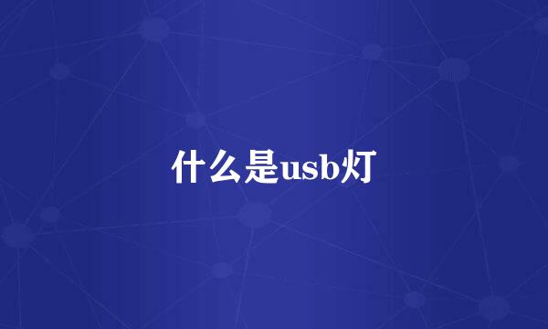 什么是usb灯