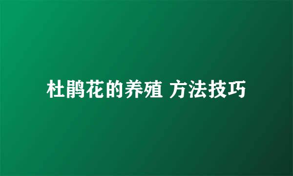 杜鹃花的养殖 方法技巧