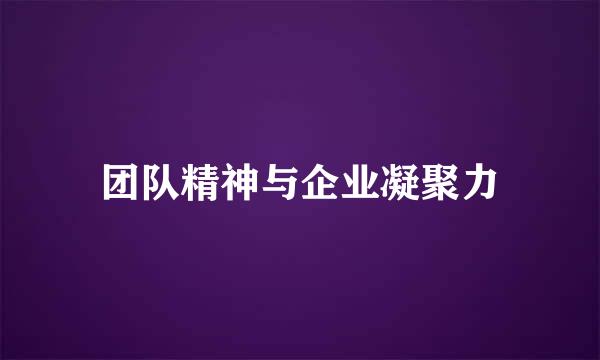 团队精神与企业凝聚力