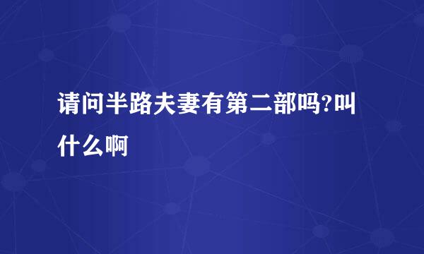 请问半路夫妻有第二部吗?叫什么啊