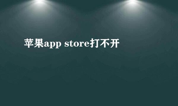 苹果app store打不开