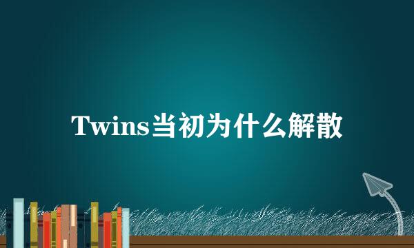 Twins当初为什么解散