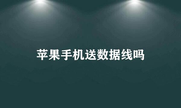 苹果手机送数据线吗