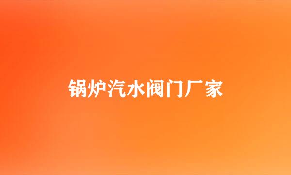 锅炉汽水阀门厂家