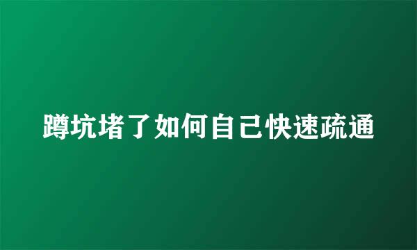 蹲坑堵了如何自己快速疏通