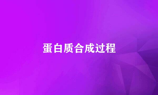 蛋白质合成过程