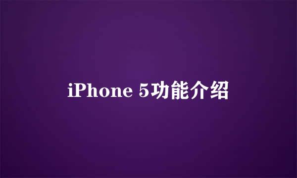 iPhone 5功能介绍