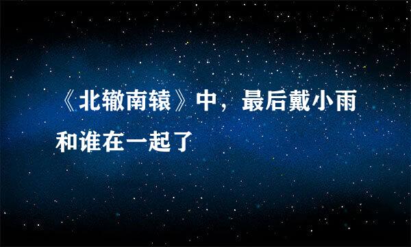 《北辙南辕》中，最后戴小雨和谁在一起了