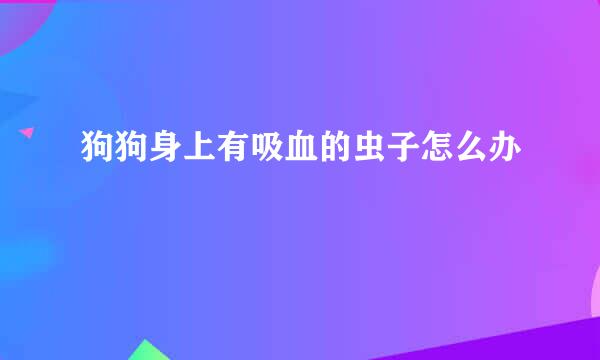 狗狗身上有吸血的虫子怎么办