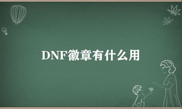 DNF徽章有什么用