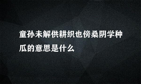 童孙未解供耕织也傍桑阴学种瓜的意思是什么