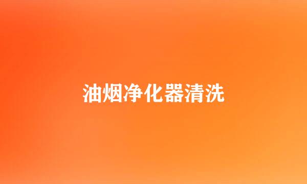 油烟净化器清洗