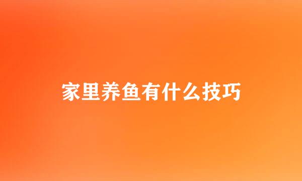 家里养鱼有什么技巧