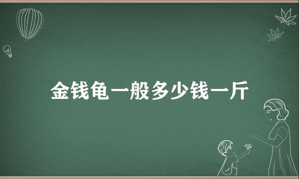 金钱龟一般多少钱一斤