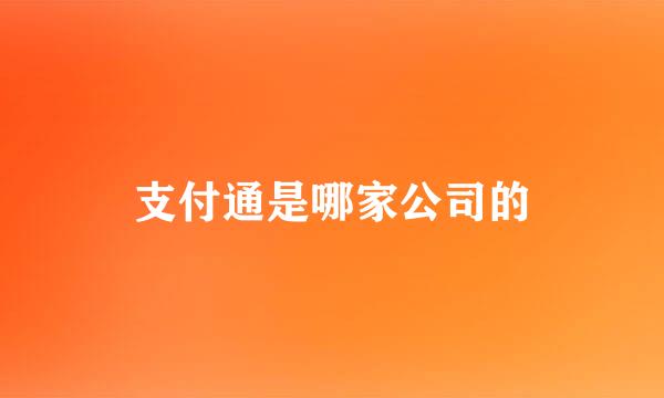 支付通是哪家公司的