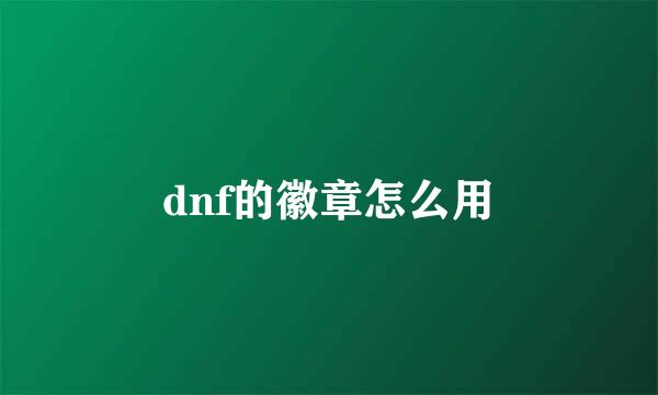 dnf的徽章怎么用