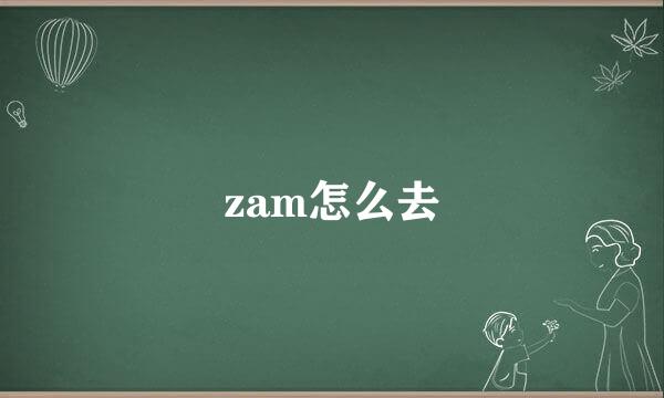 zam怎么去