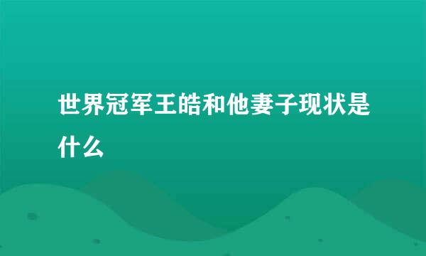 世界冠军王皓和他妻子现状是什么