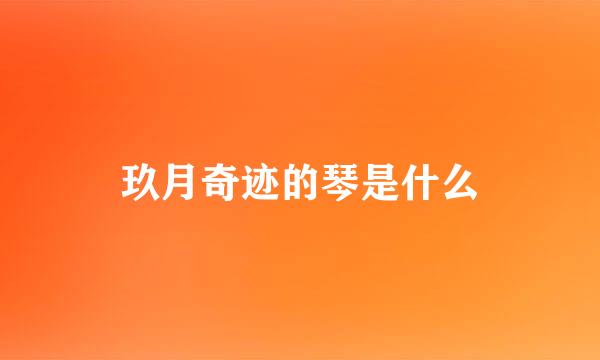 玖月奇迹的琴是什么