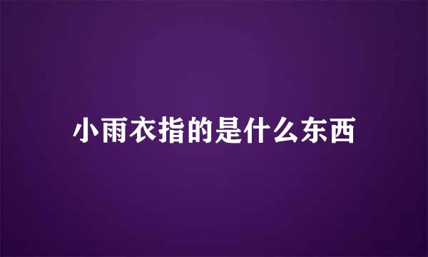 小雨衣指的是什么东西