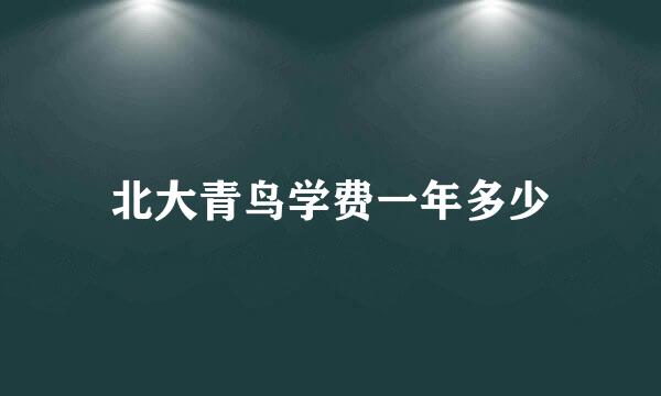 北大青鸟学费一年多少