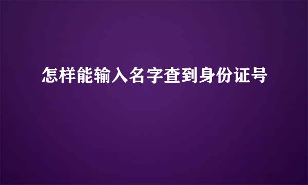 怎样能输入名字查到身份证号