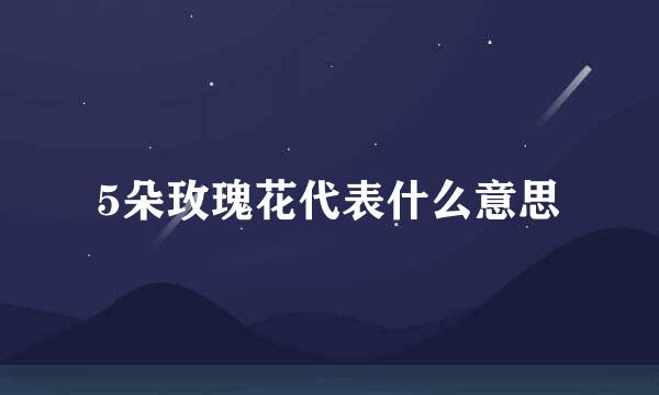 5朵玫瑰花代表什么意思