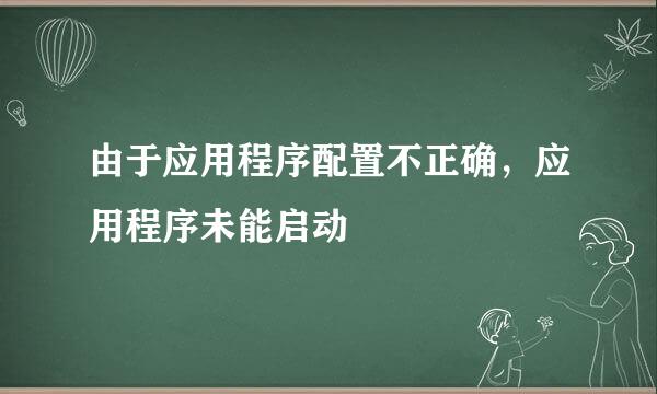 由于应用程序配置不正确，应用程序未能启动