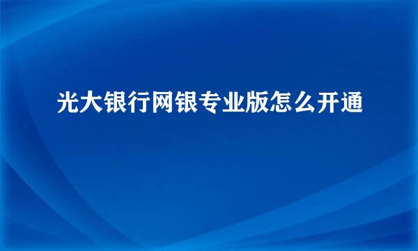 光大银行网银专业版怎么开通