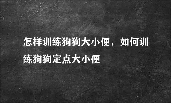 怎样训练狗狗大小便，如何训练狗狗定点大小便