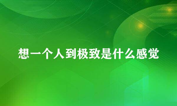 想一个人到极致是什么感觉