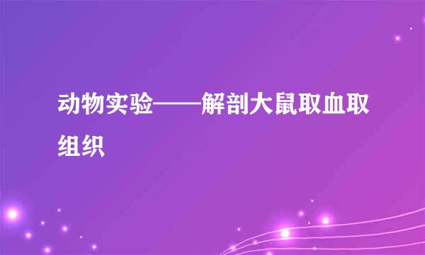 动物实验——解剖大鼠取血取组织