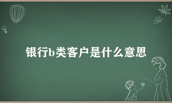 银行b类客户是什么意思